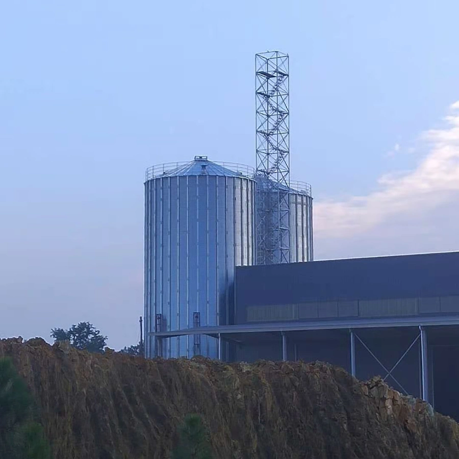 Grand silo de stockage de riz paddy et d'arachides à base plate en béton de grande capacité en vente.