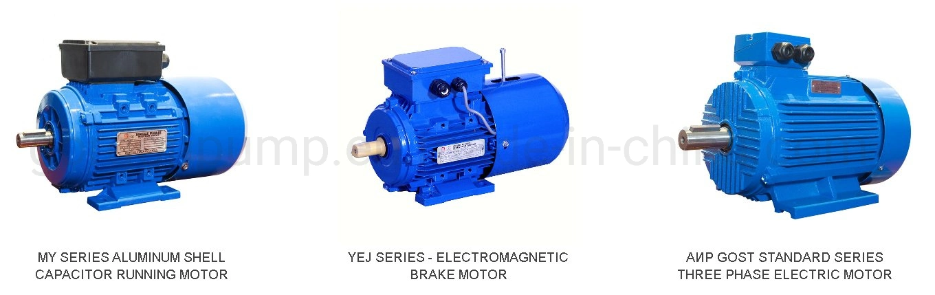 Yc Ycl Series New Type Single Phase Motor