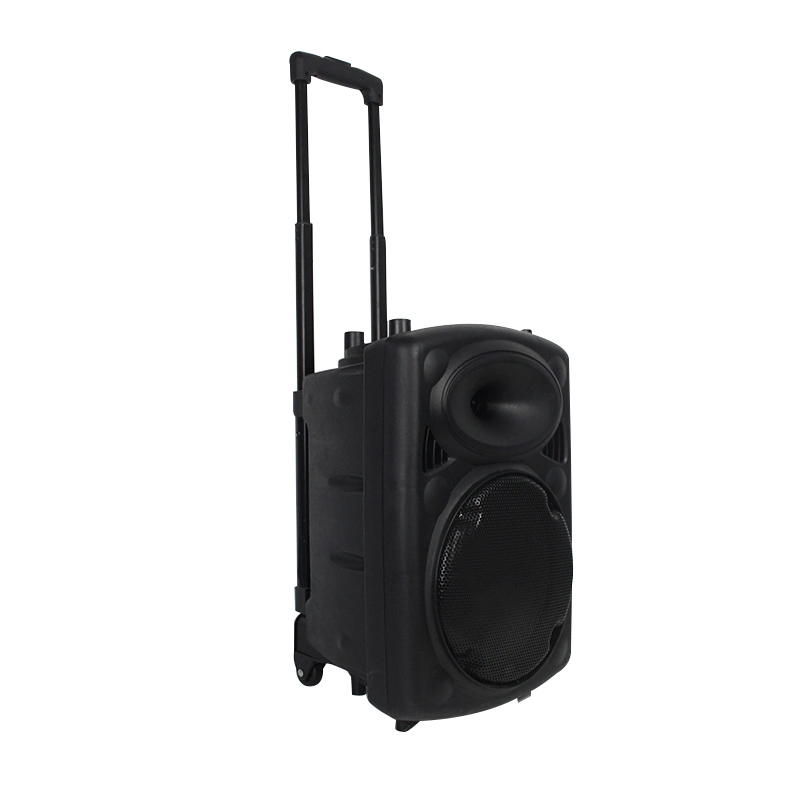 10 Inches Public Address Active Wireless Microphone Bluetooth Trolley Speaker