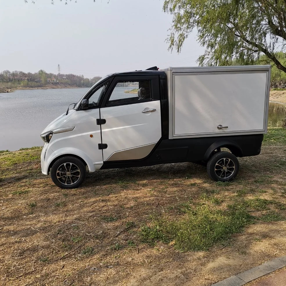 Elektrischer Transport Für Erwachsene