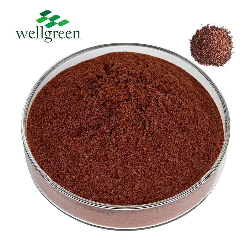 cosmetic Grade Natural Grape Seed Extract with 95% OPC Proanthocyanidins