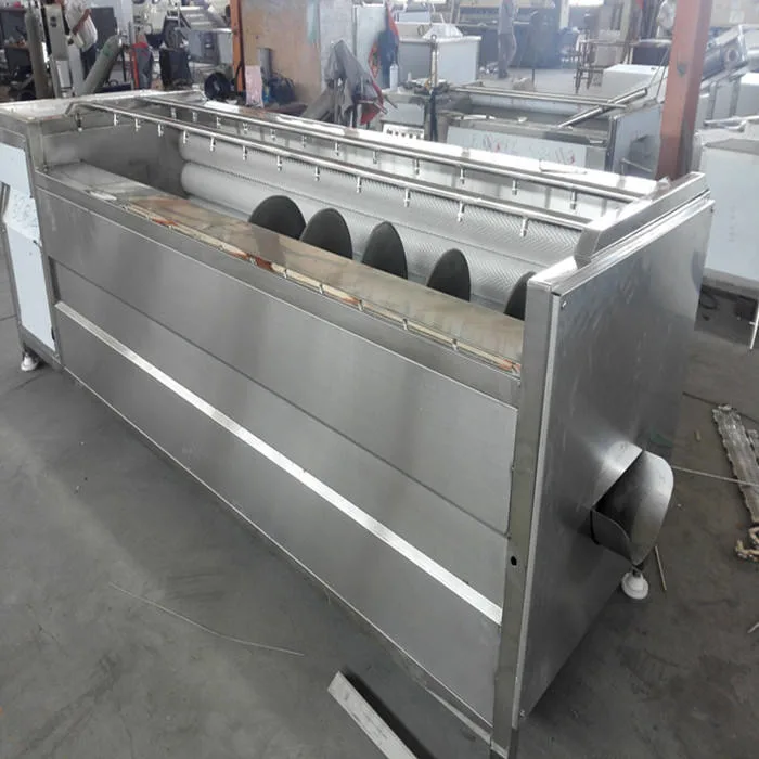 Fully Automatic Brush Type Date Palm Carrot Fruit Washer