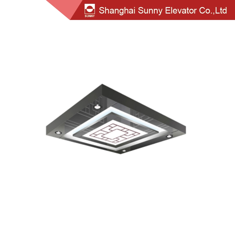 Etched Design Decorative Stainless Steel Elevator Ceiling Light Panel