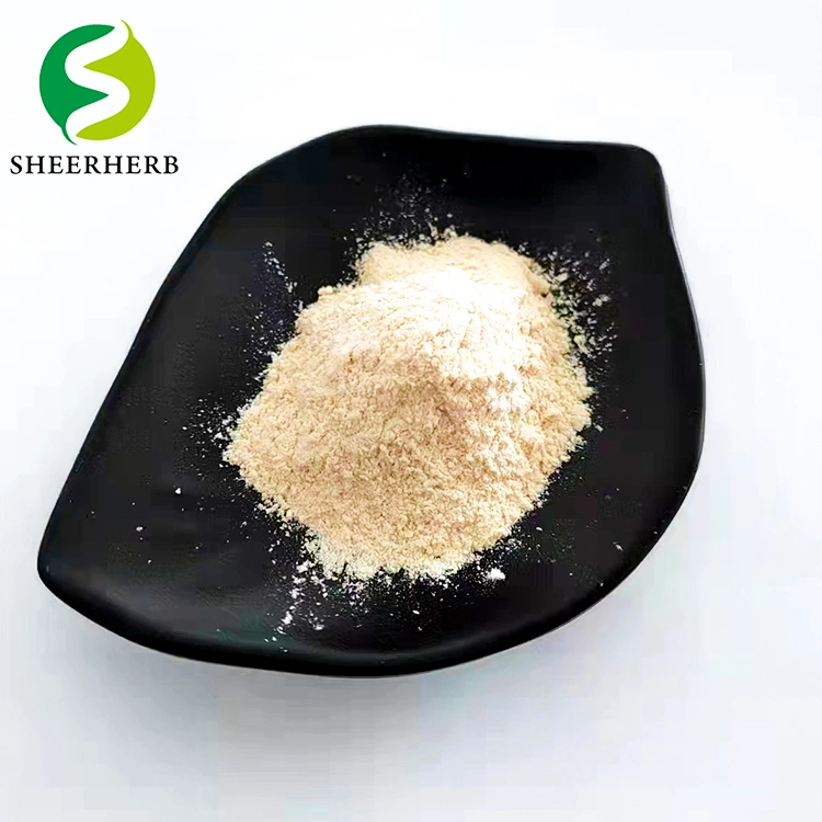 5htp Factory Direct Sale High Purity in Stock 5htp Best Price L-5-Hydroxytryptophan Griffonia Seed Extract 99%