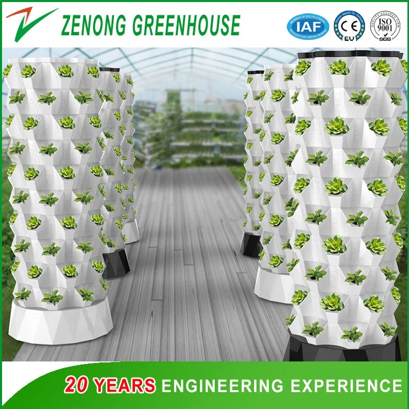 Vertical Hydroponics for Healthy Leafy Vegetable Cultivation/ Balcony Sight Seeing