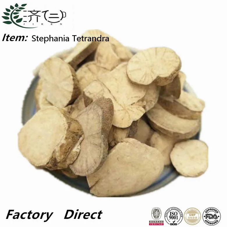 Fangji Natural Herbal Radix Stephaniae Tetrandrae raíz de Fangji seca