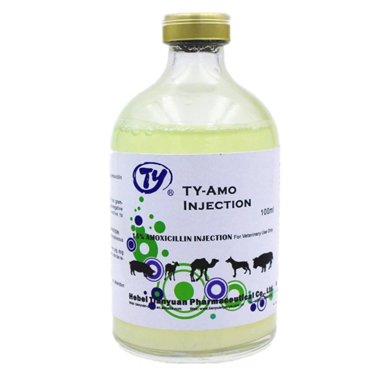 Amoxicillin Injection 15% Antibacterials Antibiotic Antidote Veterinary Drugs Animal Medicine Best Price