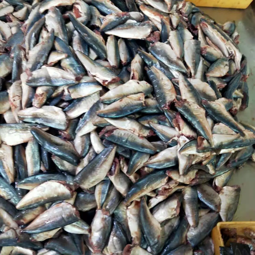 Wholesale/Supplier Canned Fish Canned Sardines Tinned Fish Best Sardine 125g*50 In100% Oil