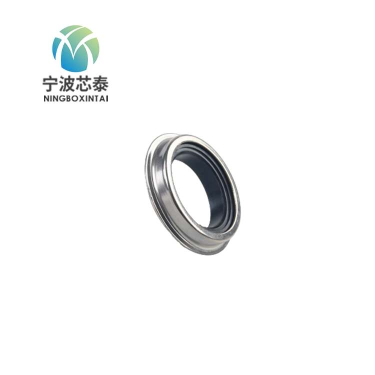 Standard Double Lip Oil Seal Stainless Steel Standard Size/Custom 304