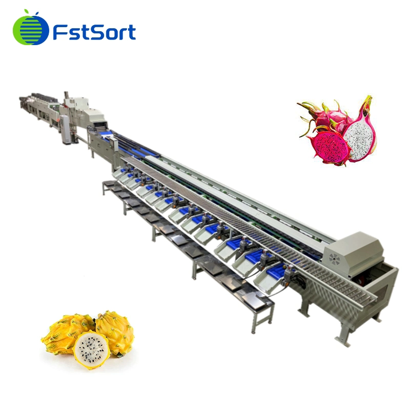 Dragon Fruit Electronic Weighing Grader Six Grades Pitaya Sorting Machine Dragon Fruit Packing Equipment Dragon Fruit Washing Machine Grading Equipment