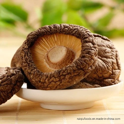 Dry Shiitake Dried Shitake Mushroom Whole China