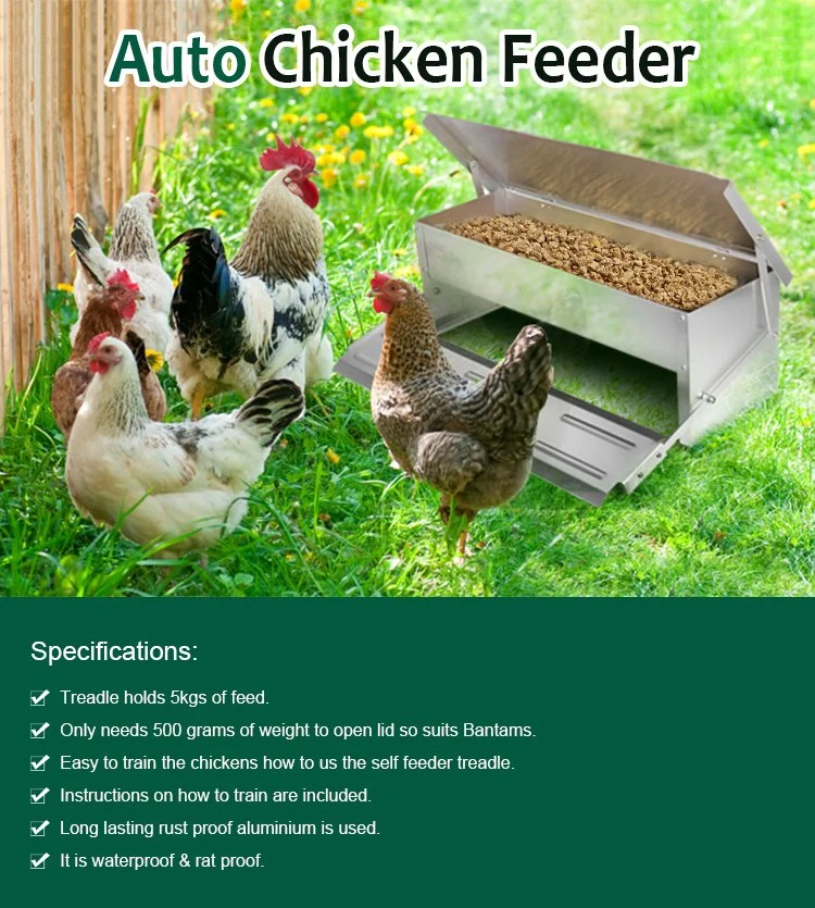 Outdoor Poultry Farm Chicken Automatic Food Feeder Trough