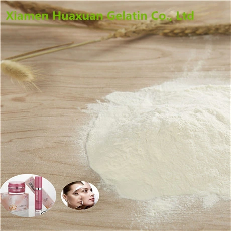 Fish Collagen Peptide Powder