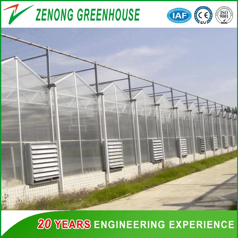 Polycarbonate Greenhouse for Poultry Farm/Flower House