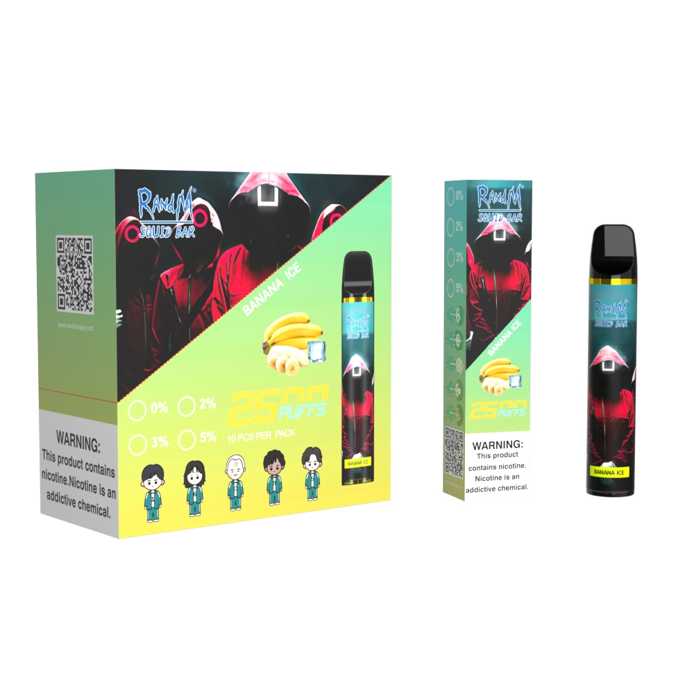 Popular Randm Squid Bar Mini Vape 16 Fruit Flavors vape 2500 Puffs Puff Bar Pod Disposable/Chargeable Vape