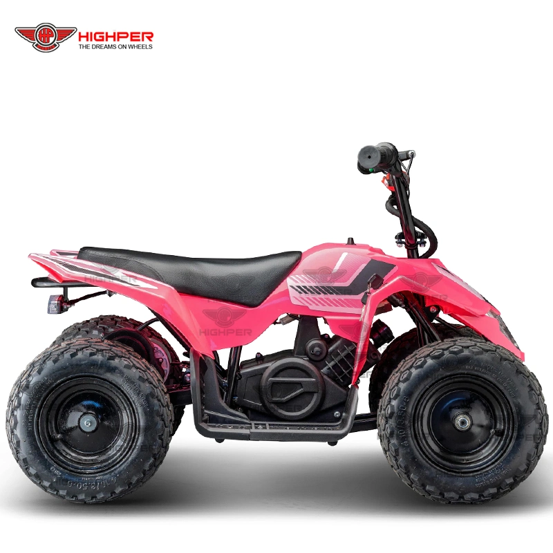 Enfants 250W 24V Mini Quad 4 Wheeler VTT électrique