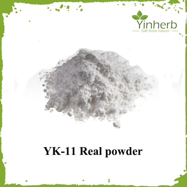 High Purity 99.6% Yk11 for Muscle CAS 431579-34-9 Raw Powder