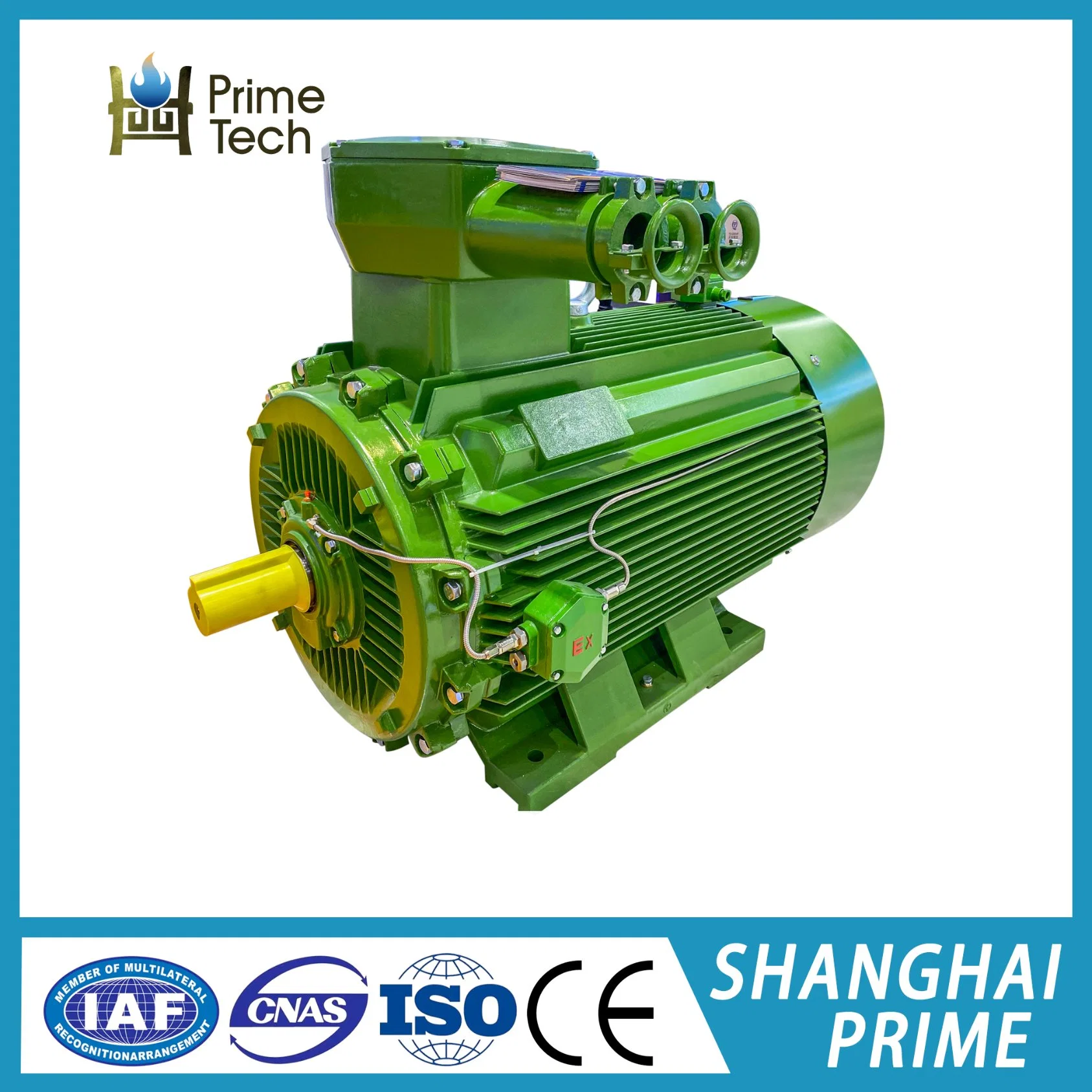 Dust Explosion Proof Three Phase Asynchronous Motors