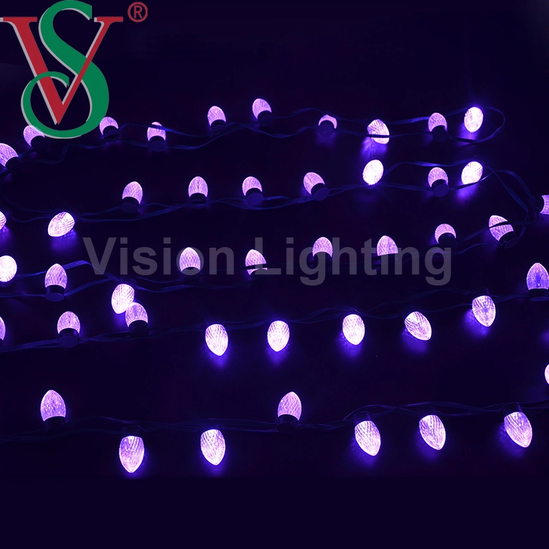 LED Ttl Ws2911 Programmable Strawberry Christmas String Decoration Light