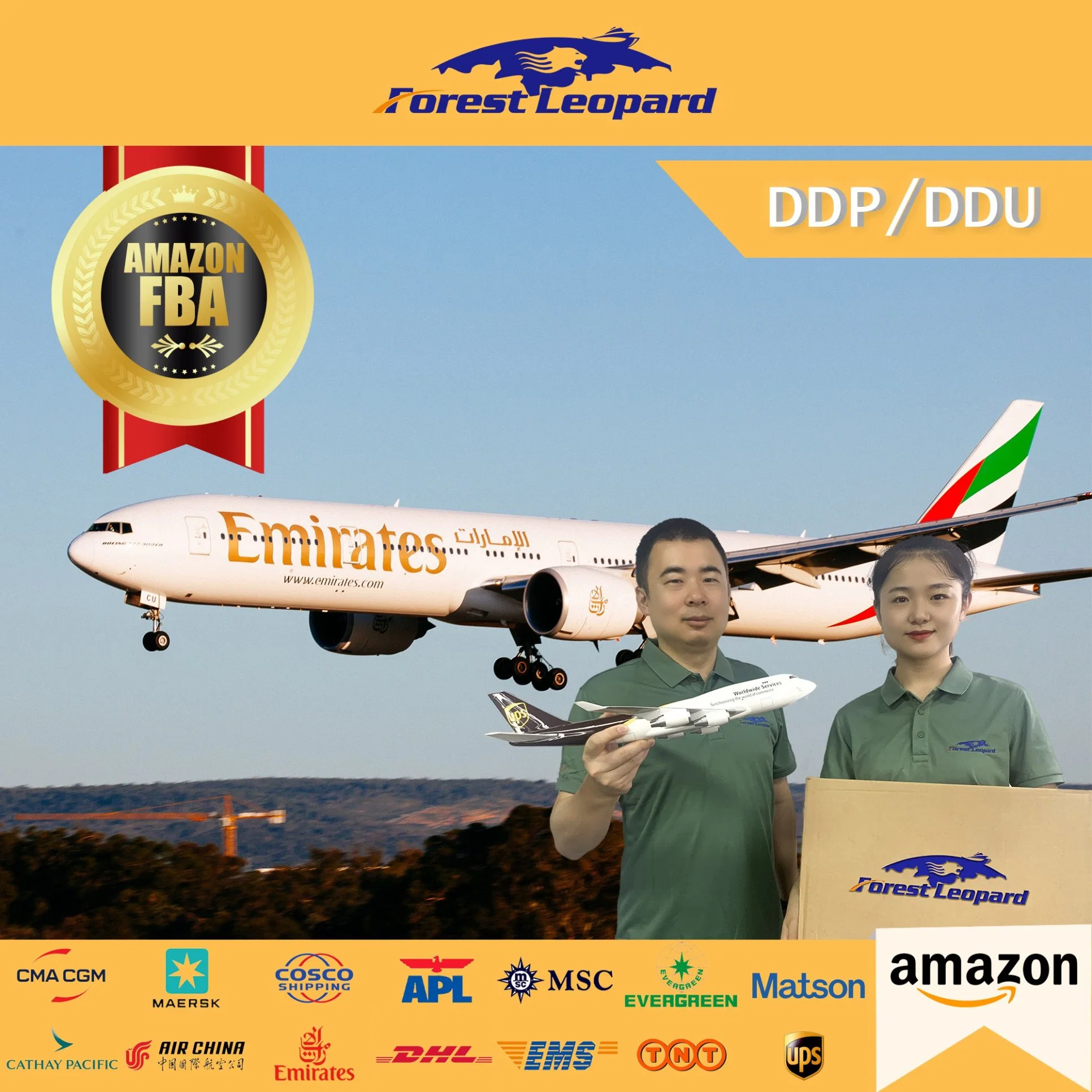 Amazon Fba Services Air Shipping From China to USA Logistics Shipping Rates LCL DDP DDU Forestleopard