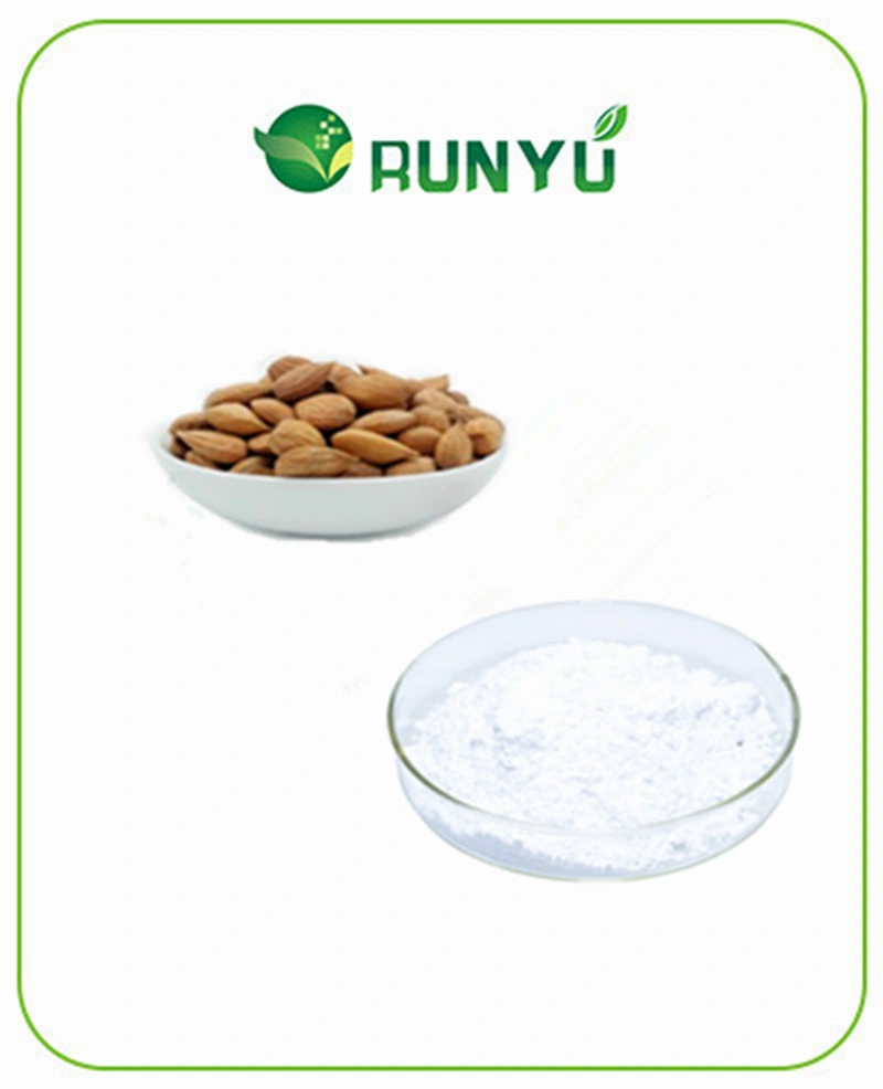 Best Price Bitter Almond Extract Powder Amygdalin 98% Vitamin B17