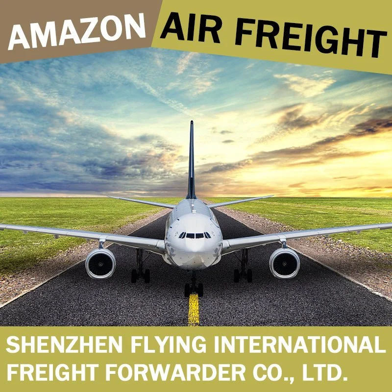 Servicio de carga de aire profesional Freight Forwarder, China a EE.UU Amazon Fba Almacén