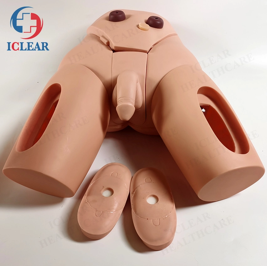 Senior Female Genital Catheterization Simulator