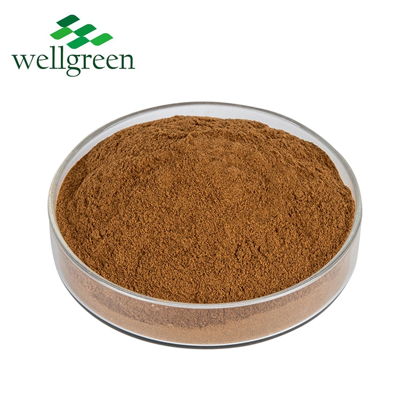 Free Sample Bulk Mushroom 10-50%Polysaccharide Hericium Erinaceus Lions Mane Extract