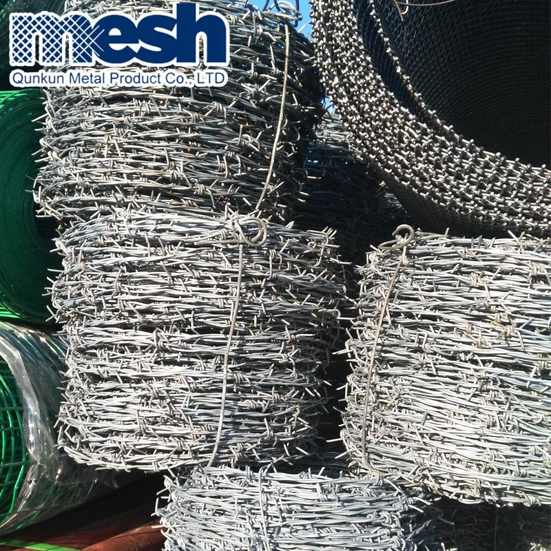 Hot-Dipped Galvanized Barbed Wire for Airport Security Fence