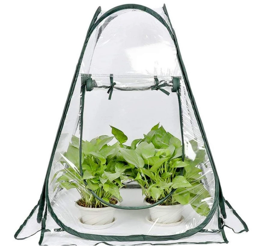 Mini Pop up serre avec couvercle transparent Maison de culture végétale protégée fleur portable tente un abri pour Jardin Jardin extérieur