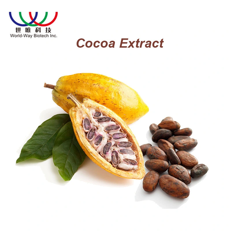 Professional Factory Supply Pure Natural Plant Extract 10% 20% Theobromine Cocoa Extract Powder