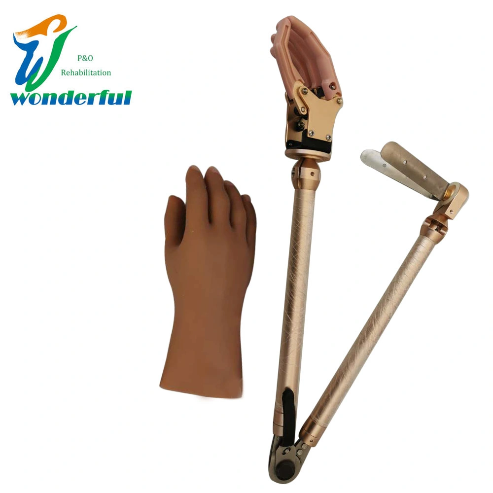 Prosthetic Components Cosmetic Prostheses for Shoulder Joint