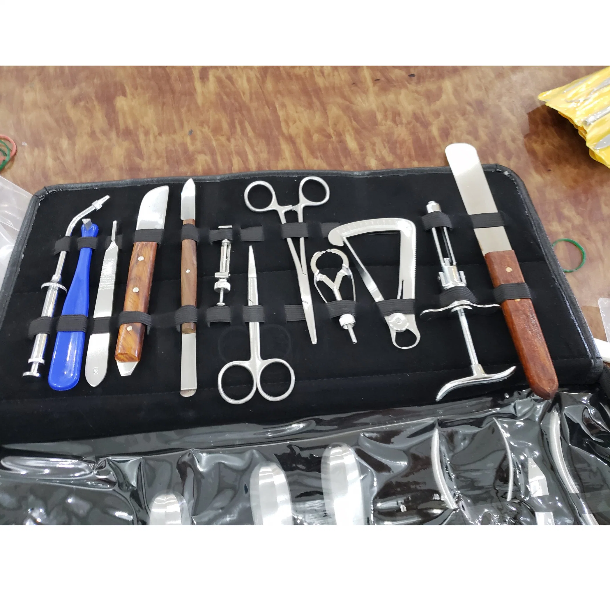 in-Di30 China Medical Stainless Steel Surgical Cleaning Full Set Dental Tool Instruments