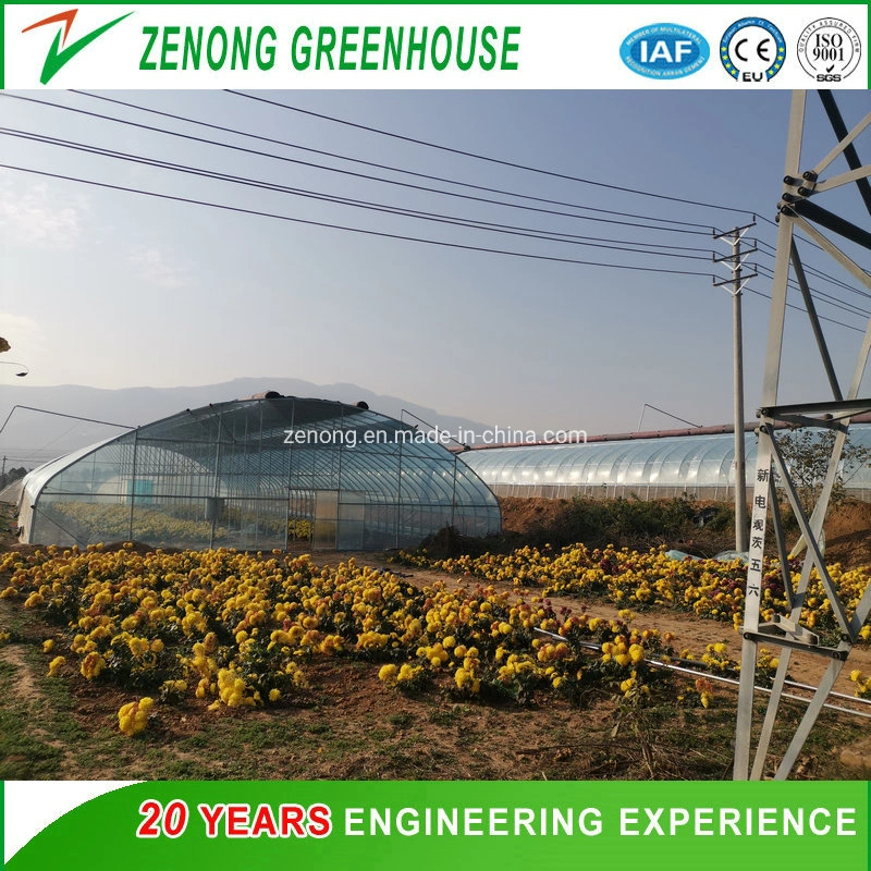 Low Cost Simple Hot DIP Galvanized Steel Plastic Film Arch Tunnel Greenhouse