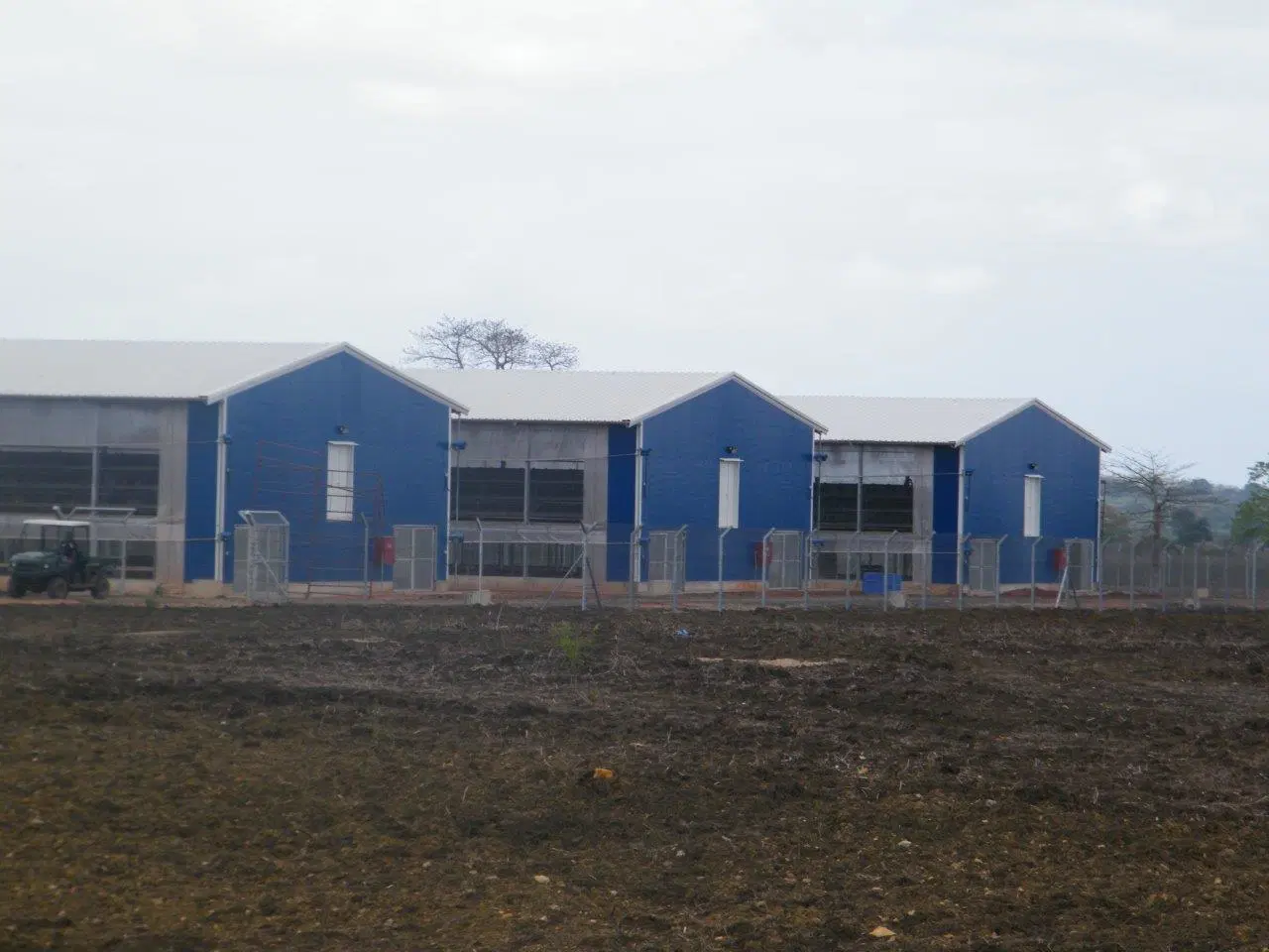 Steel Structure Building, Farm Project (SSP 15010)