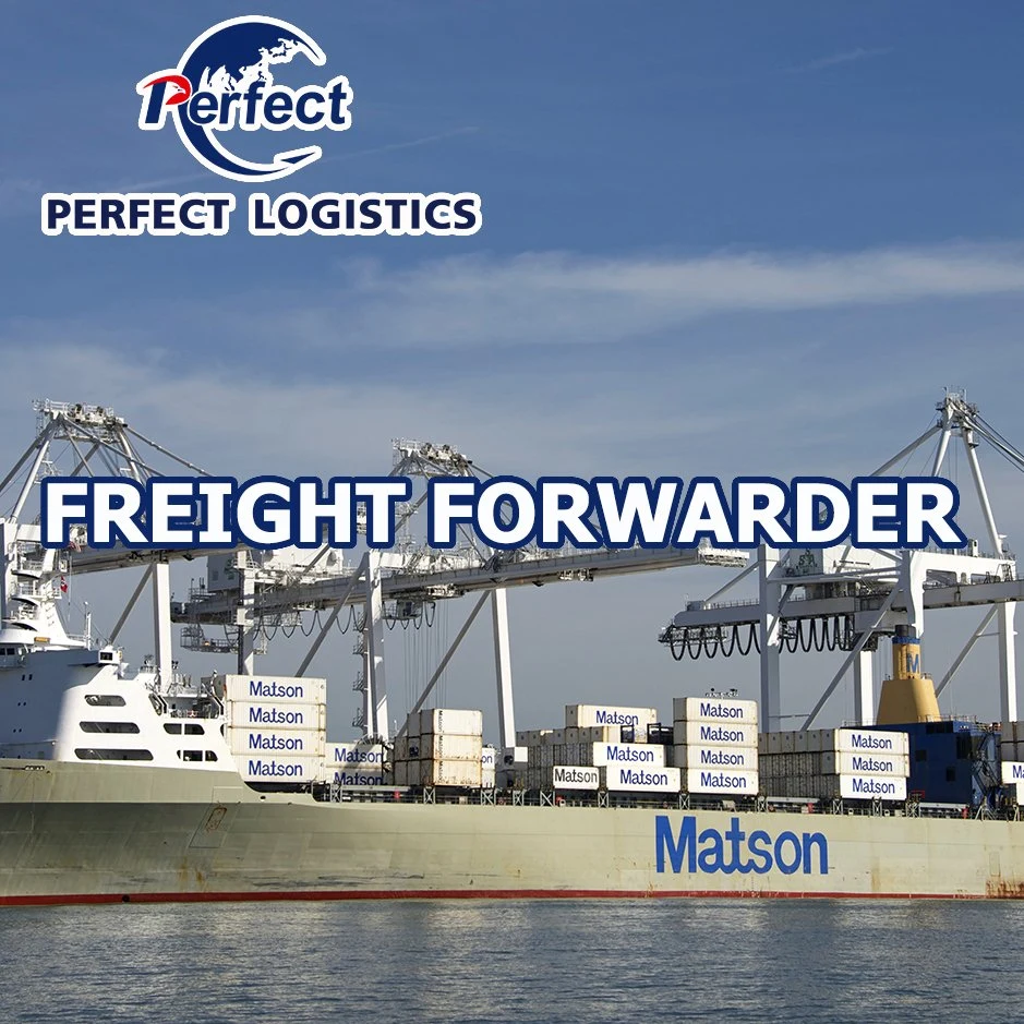 Freight Forwarder Sea Cargo Shipment Service From China to Netherlands