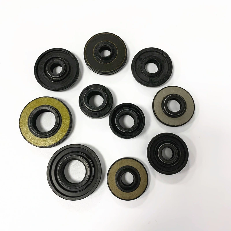 Cog Rubber Shock Absorber Oil Seal Tc/Sc NBR/FPM O Ring Gasket for Spare Parts