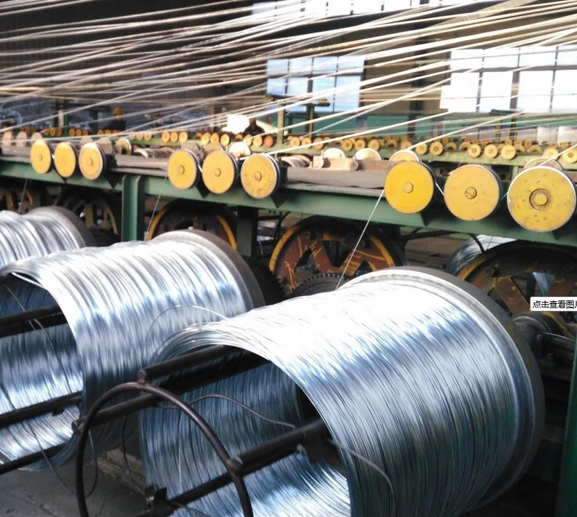 0.20-12.00 mm Wholesale/Supplier Galvanized Steel Wire&Spring Steel Wire