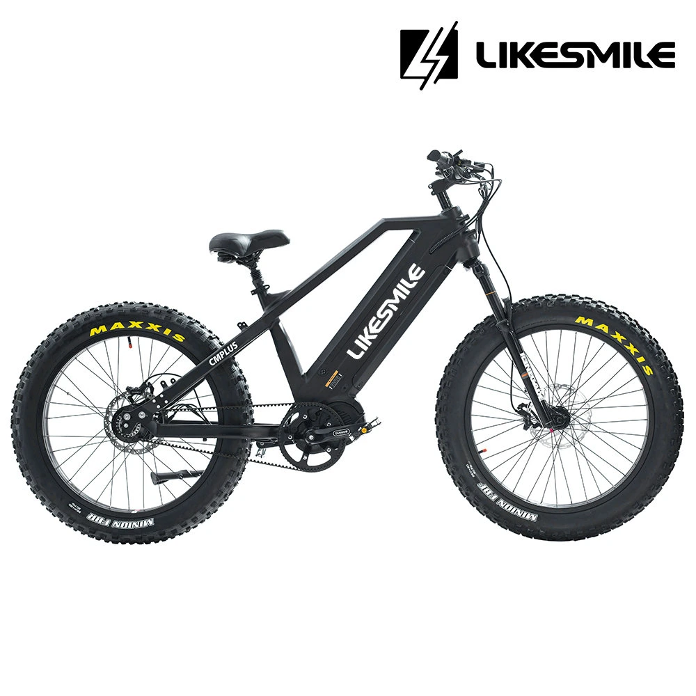 Electric Bike 48V 1000W Electric Dirt Bike Electric Bicycle Maxxis 26''&times; 4.8'' Tyre