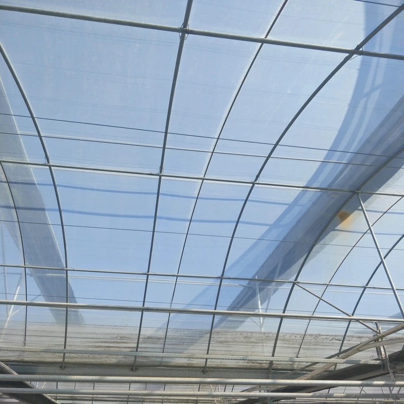 Das landwirtschaftliche Wasserkultur Polycarbonat-Blatt-Gewächshaus wachsen Systeme