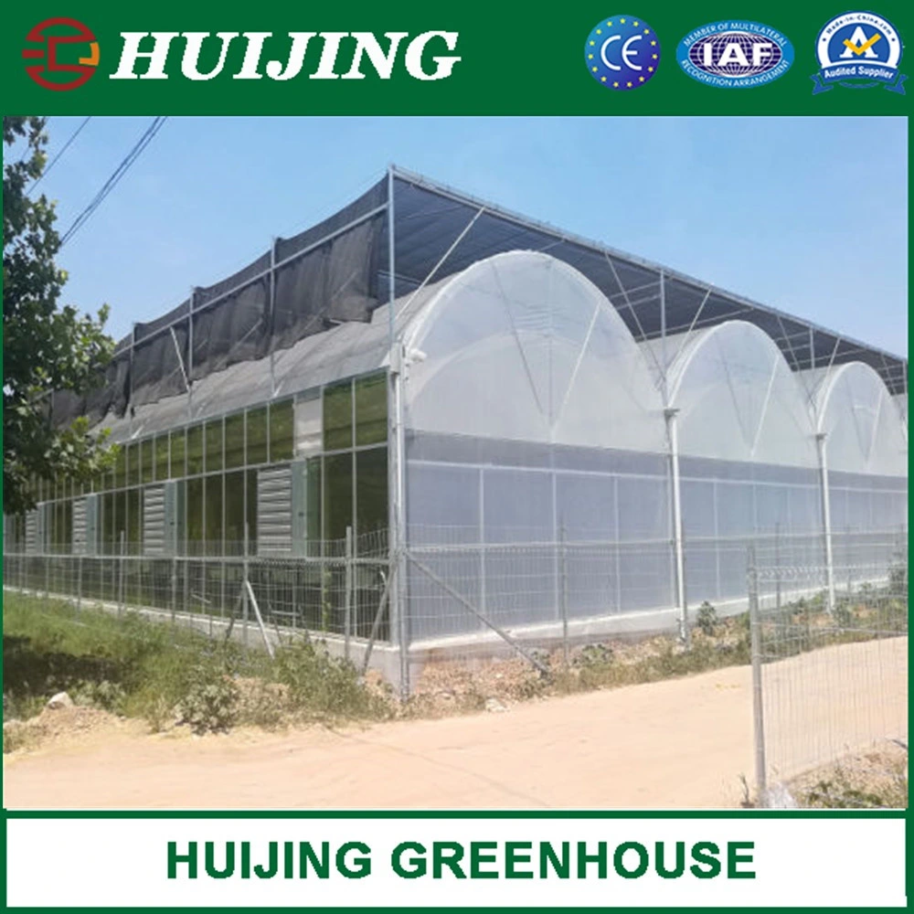 Multi Span Agricultural Plastic Film Greenhouse with Hydroponics Irrigation Systems