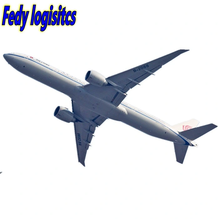 Exportvertreter DDP Seeschifffahrt Luftfracht Spediteur nach Port Louis/Port of Spain/Port Said FedEx/UPS/TNT/DHL Express Shipping Agents Service Logistik