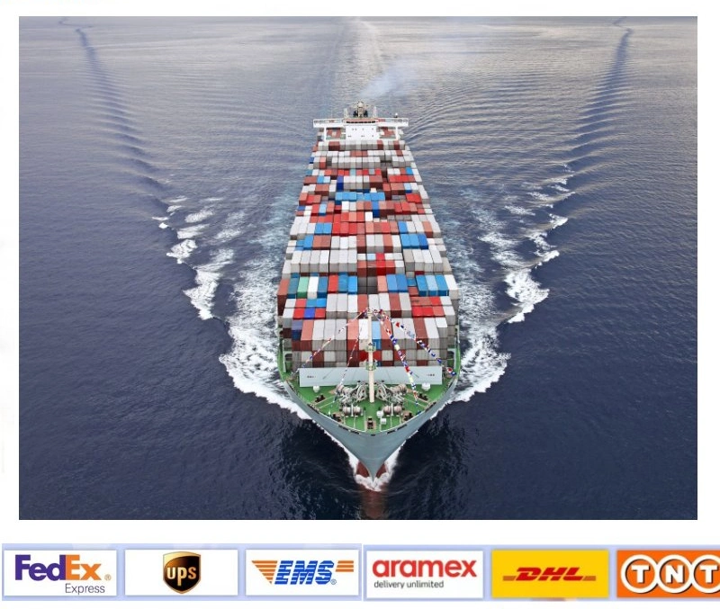 Cheap Sea Freight From Shenzhen China to Canada Japan International FCL /LCL Japan Shipping Agent Logistic