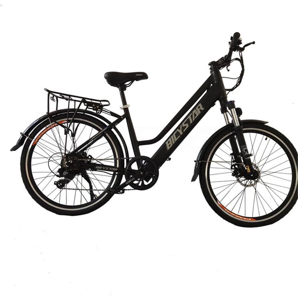 China CE Certificate Cheap City 28 City 48V Classic Custom Design Electric Bike