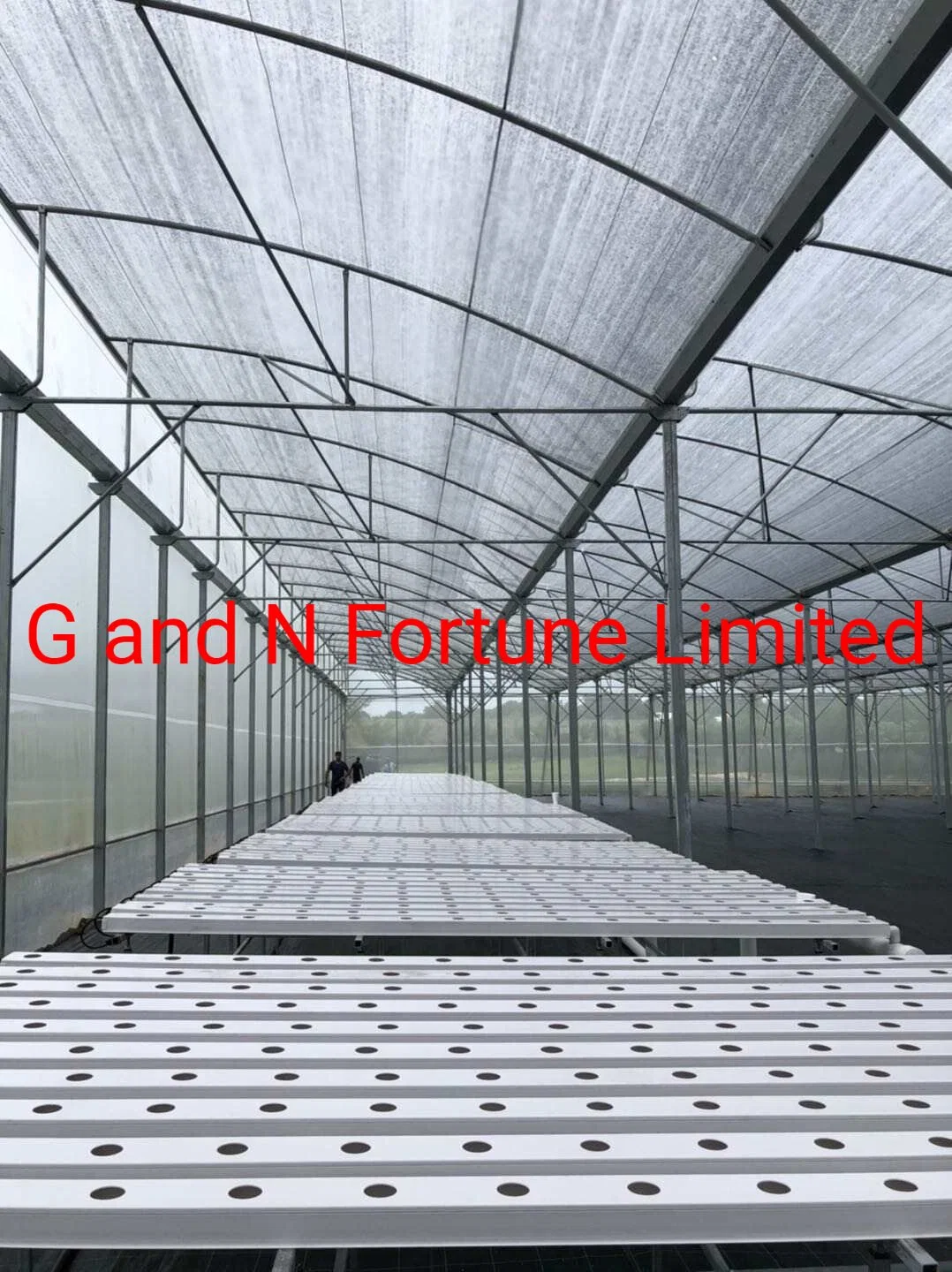 Nft Channel Vertical Farming Vegetables Hydroponic Growing Systems Price 5mm Single Layer Tempered Glass Greenhouse on Sale