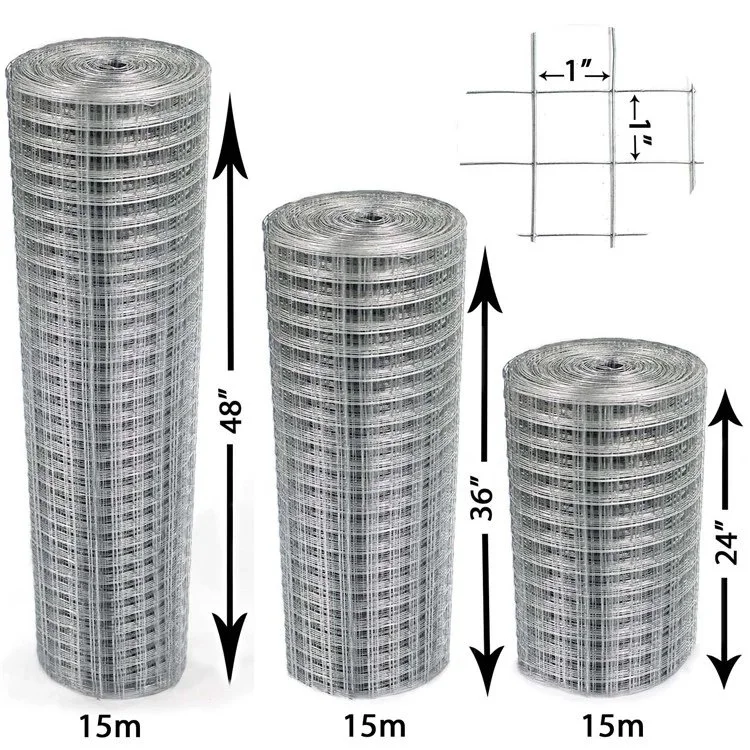 Stainless Steel/PVC Coated/Galvanized Welded Wire Mesh Roll