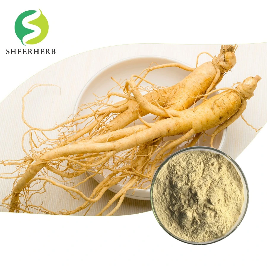 Herbal Extract Ginseng Root Extract Ginseng Ginsenoside 80% Ginseng Extract