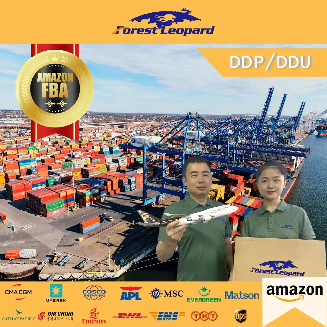 China Top 10 International Logistics Company Professional Freight Forwarder Shipping Service From China to USA DDP