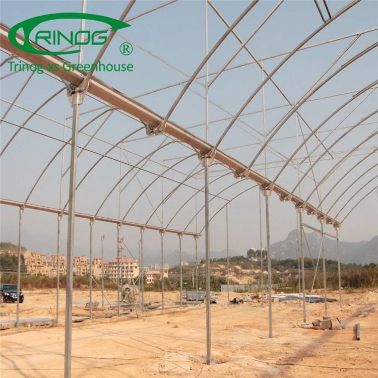 Low Price Agricultural Multi-span Film Greenhouse for Sale