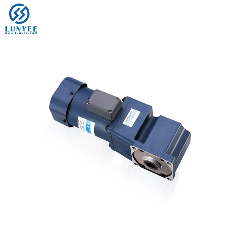 90 Degree AC Motor Electric Motor Small AC Motor Right Angle Motor